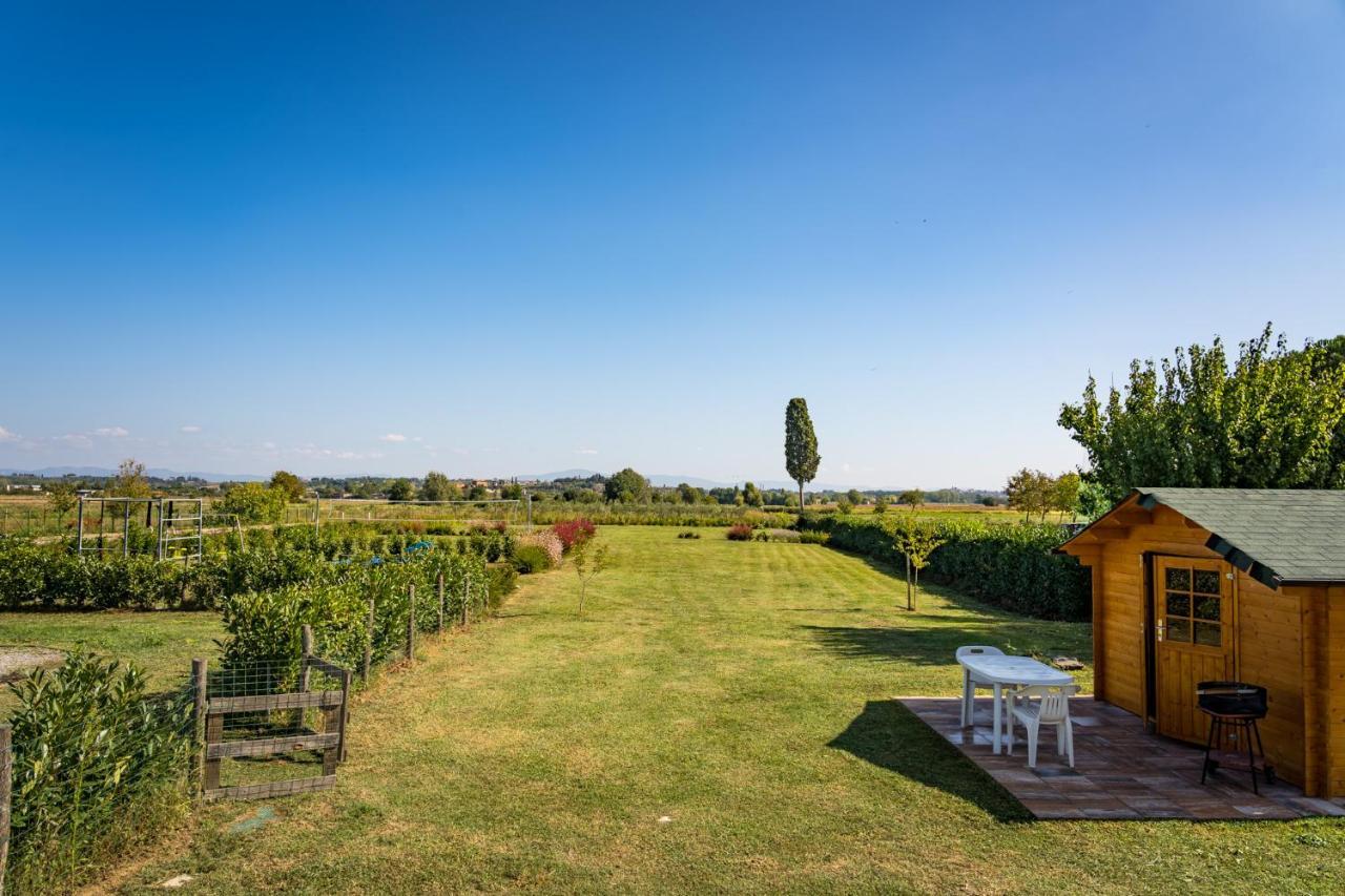 Borgo Terrosi Bed and Breakfast Sinalunga Buitenkant foto